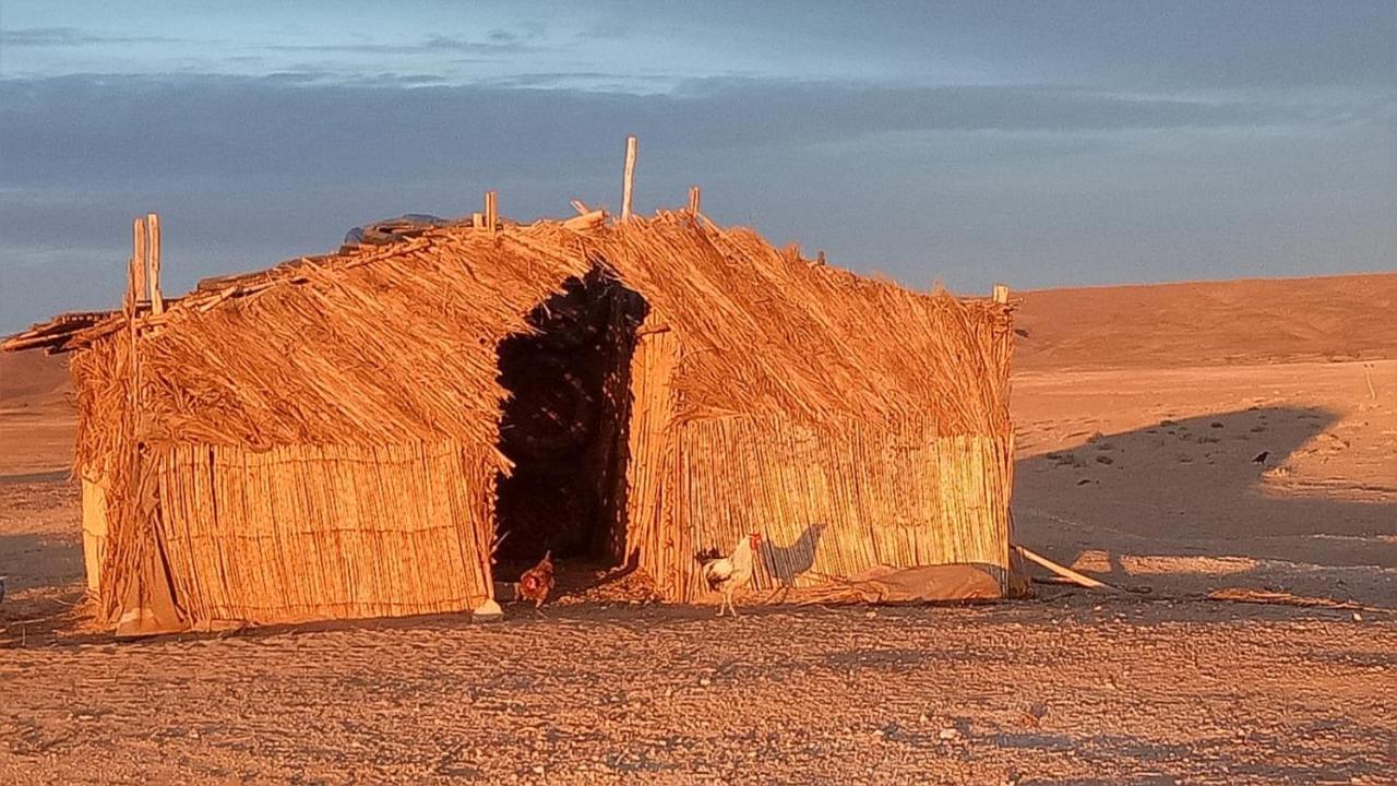 Sahara Peace Camp Hotel Zagora Exterior photo